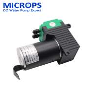 Micro 6V 12V 24V DC brush quiet 2014 ozone generator air pump